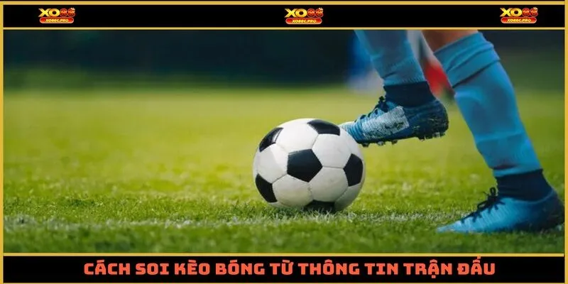 Cách soi kèo bóng từ thông tin trận đấu