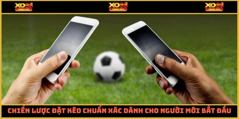 Chiến lược đặt kèo chuẩn xác dành cho người mới bắt đầu