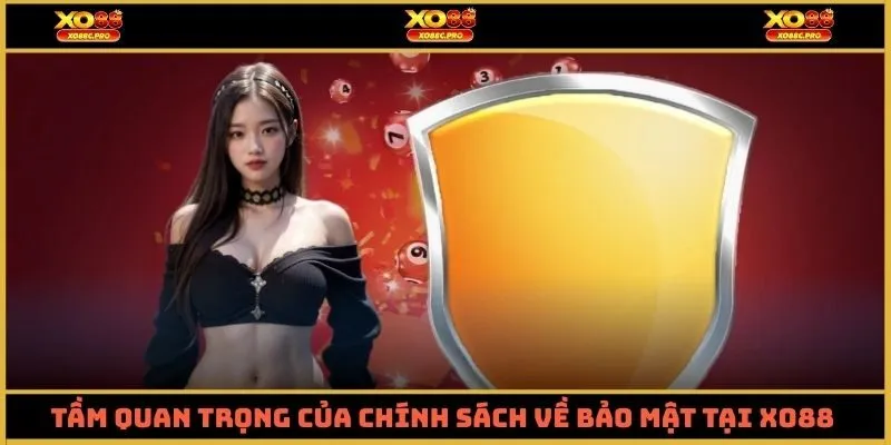 Tầm quan trọng của chính sách về bảo mật tại XO88