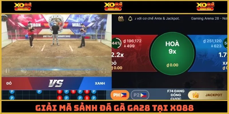 Giải mã sảnh đá gà GA28 tại XO88