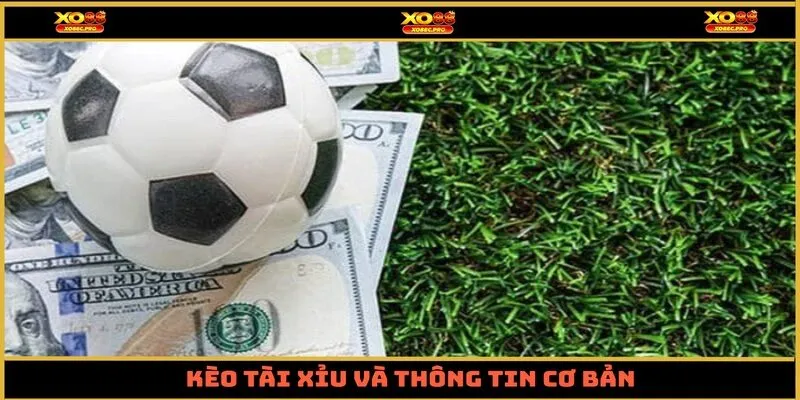 Kèo tài xỉu và thông tin cơ bản