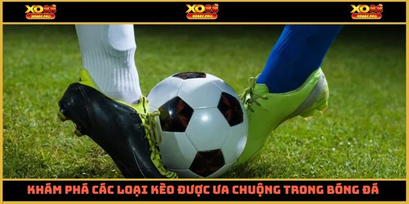 Khám phá các loại kèo được ưa chuộng trong giới cá độ bóng đá