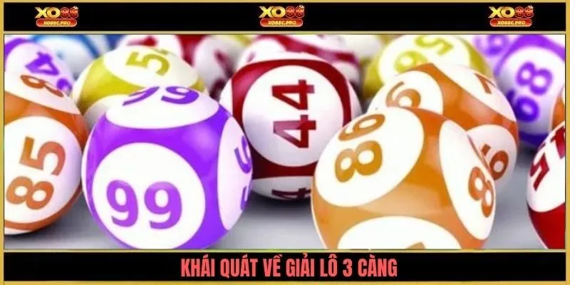 Khái quát về giải lô 3 càng