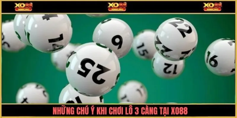 Những chú ý khi chơi lô 3 càng tại XO88