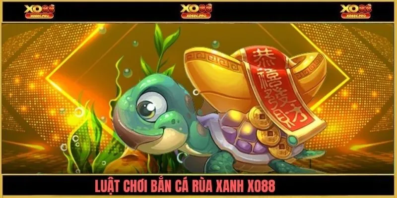 Quy tắc chơi bắn cá rùa xanh chi tiết cho người mới